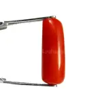 Natural Red Coral (Moonga) - 4.07 Carat