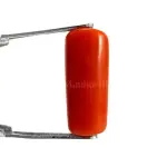Natural Red Coral (Moonga) - 4.08 Carat
