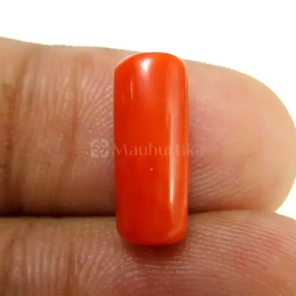Natural Red Coral (Moonga) - 4.08 Carat