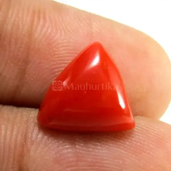 Natural Red Coral (Moonga) - 4.11 Carat