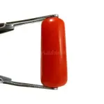 Natural Red Coral (Moonga) - 4.22 Carat