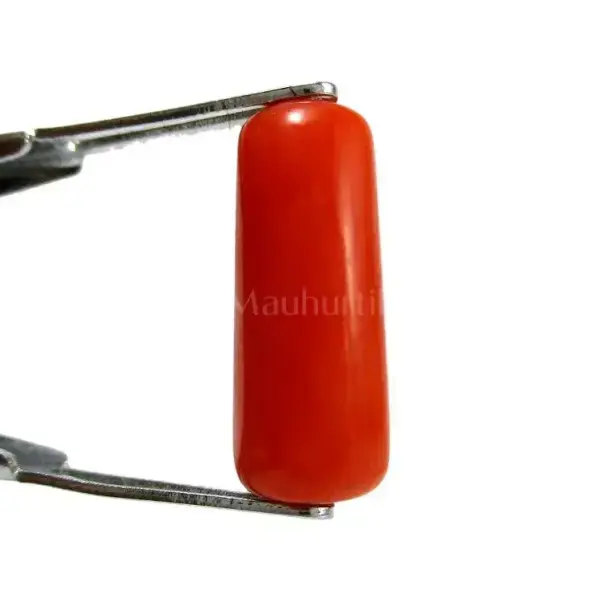 Natural Red Coral (Moonga) - 4.22 Carat