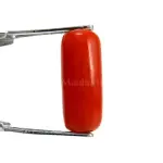 Natural Red Coral (Moonga) - 4.23 Carat