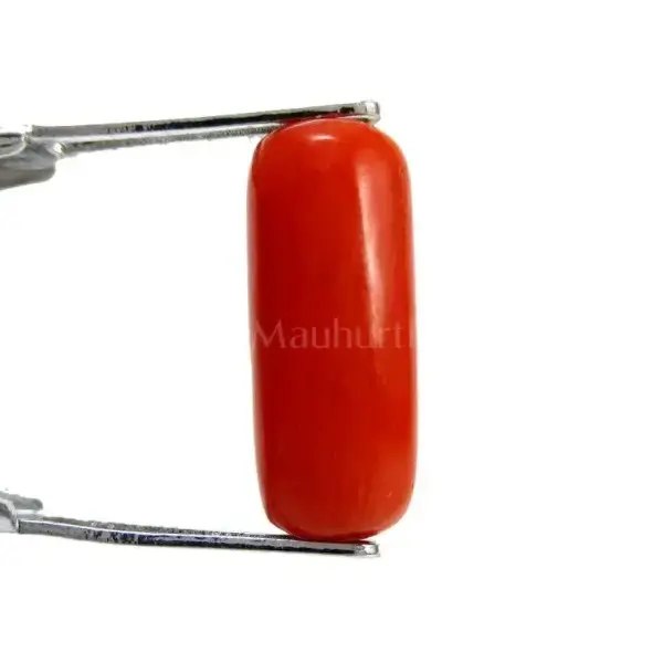 Natural Red Coral (Moonga) - 4.23 Carat
