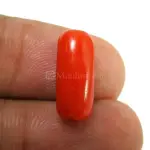 Natural Red Coral (Moonga) - 4.23 Carat