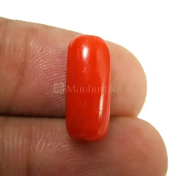 Natural Red Coral (Moonga) - 4.23 Carat