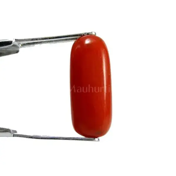 Natural Red Coral (Moonga) - 4.25 Carat
