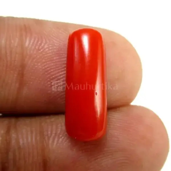 Natural Red Coral (Moonga) - 4.3 Carat