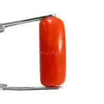 Natural Red Coral (Moonga) - 4.31 Carat