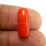 Natural Red Coral (Moonga) - 4.31 Carat