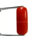 Natural Red Coral (Moonga) - 4.33 Carat