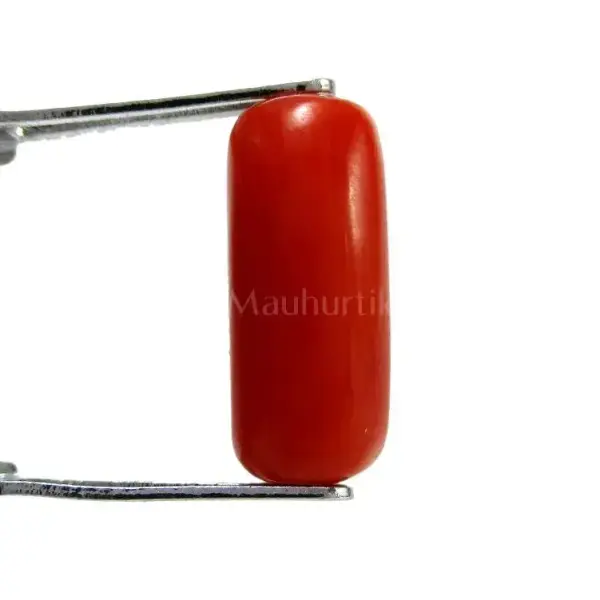 Natural Red Coral (Moonga) - 4.33 Carat