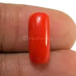 Natural Red Coral (Moonga) - 4.33 Carat
