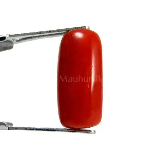 Natural Red Coral (Moonga) - 4.43 Carat