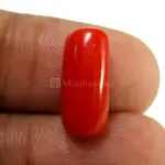 Natural Red Coral (Moonga) - 4.43 Carat
