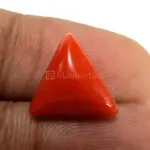 Natural Red Coral (Moonga) - 4.46 Carat