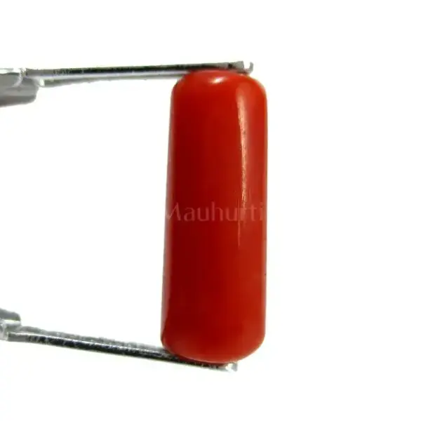Natural Red Coral (Moonga) - 4.47 Carat