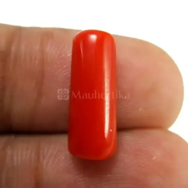 Natural Red Coral (Moonga) - 4.47 Carat