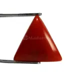 Natural Red Coral (Moonga) - 4.62 Carat