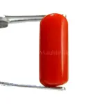 Natural Red Coral (Moonga) - 4 Carat