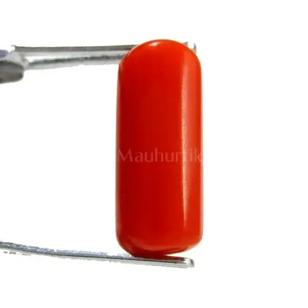 Natural Red Coral (Moonga) - 4 Carat