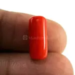Natural Red Coral (Moonga) - 4 Carat