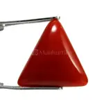 Natural Red Coral (Moonga) - 5.90 Carat