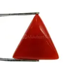 Natural Red Coral (Moonga) -5.96 Carat