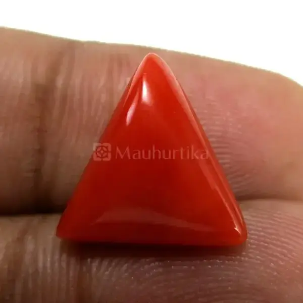 Natural Red Coral (Moonga) -5.96 Carat