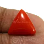 Natural Red Coral (Moonga) - 5.97 Carat