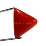 Natural Red Coral (Moonga) - 6.03 Carat