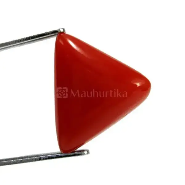 Natural Red Coral (Moonga) - 6.03 Carat