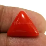 Natural Red Coral (Moonga) - 6.03 Carat