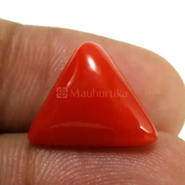 Natural Red Coral (Moonga) - 6.03 Carat