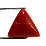 Natural Red Coral (Moonga) -6.04 Carat
