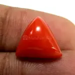 Natural Red Coral (Moonga) - 6.06 Carat