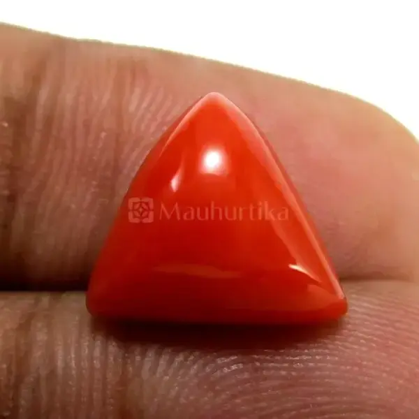 Natural Red Coral (Moonga) - 6.06 Carat