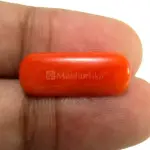 Natural Red Coral (Moonga) - 6.13 Carat