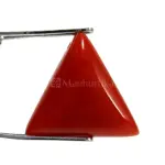Natural Red Coral (Moonga) - 6.16 Carat