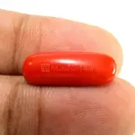 Natural Red Coral (Moonga) -6.39 Carat
