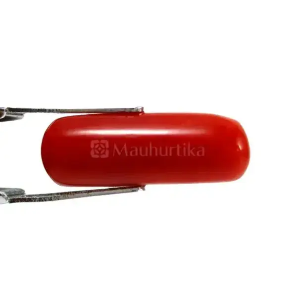 Natural Red Coral (Moonga) - 6.44 Carat
