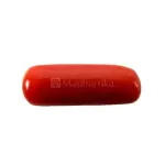 Natural Red Coral (Moonga) - 6.44 Carat