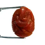 Natural Red Coral (Moonga) - 6.52 Carat