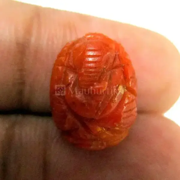 Natural Red Coral (Moonga) - 6.52 Carat