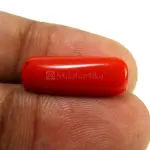 Natural Red Coral (Moonga) - 6.59 Carat