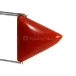 Natural Red Coral (Moonga) - 6.69 Carat