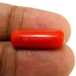 Natural Red Coral (Moonga) - 6.94 Carat