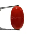Natural Red Coral (Moonga) -7.40 Carat
