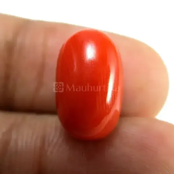 Natural Red Coral (Moonga) -7.40 Carat