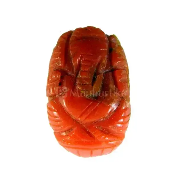 Natural Red Coral (Moonga) - 7.81 Carat